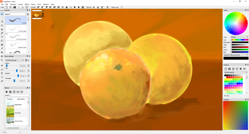 YoupiPaint Pro for Window screenshot